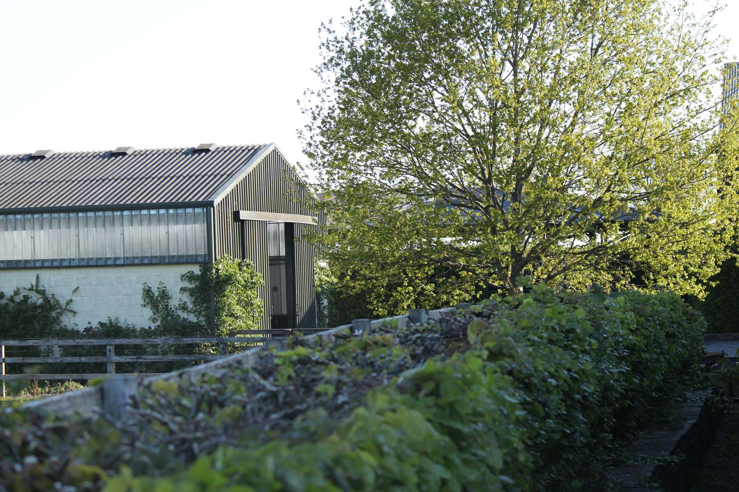 Gallery Oak Tree Farm Co. Meath, Ireland